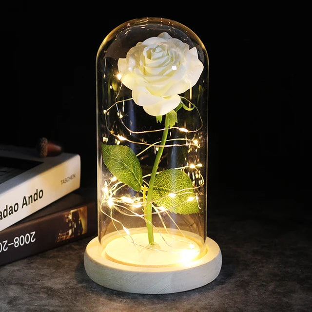 Rose éternelle lumineux sous cloche