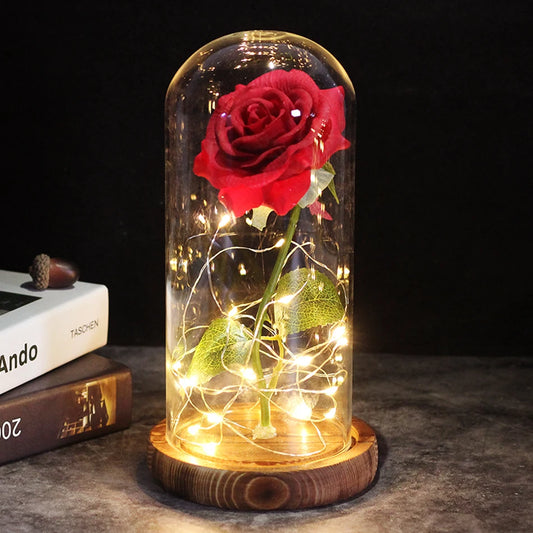 Rose éternelle lumineux sous cloche