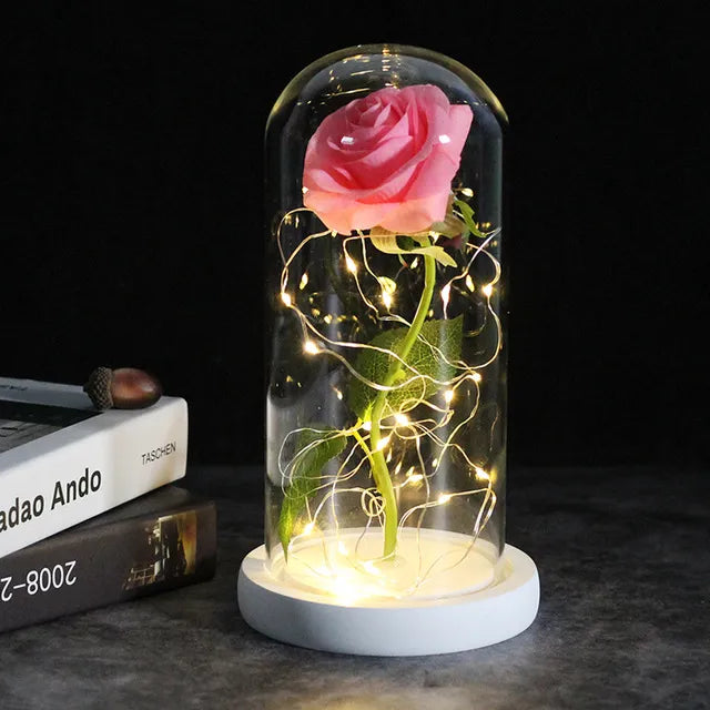 Rose éternelle lumineux sous cloche