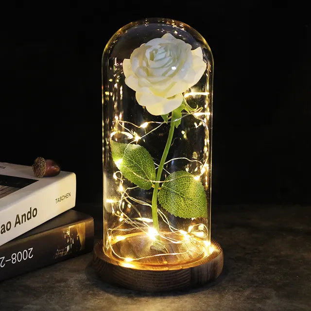 Rose éternelle lumineux sous cloche