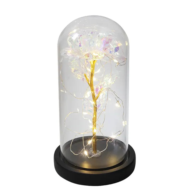 Rose éternelle lumineux sous cloche