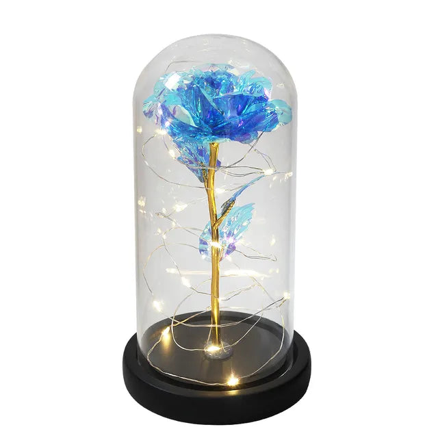 Rose éternelle lumineux sous cloche