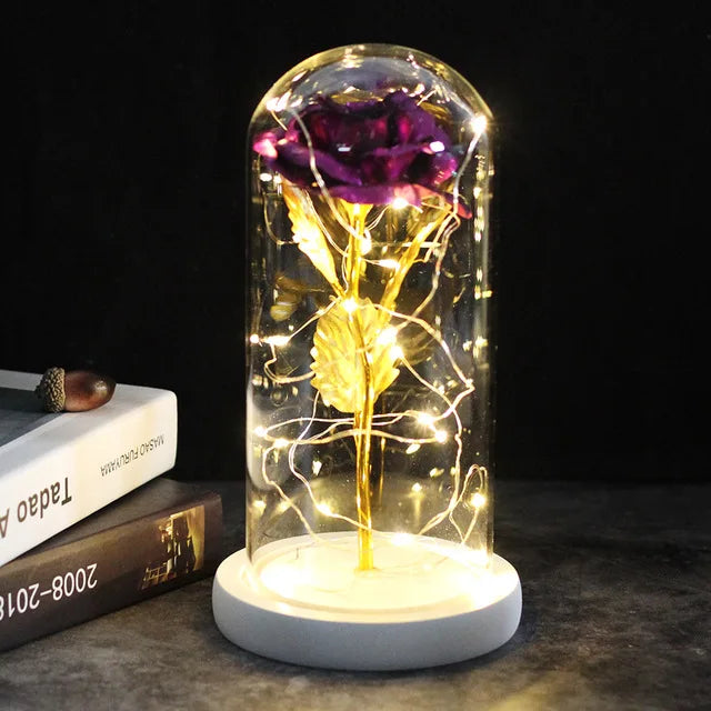 Rose éternelle lumineux sous cloche