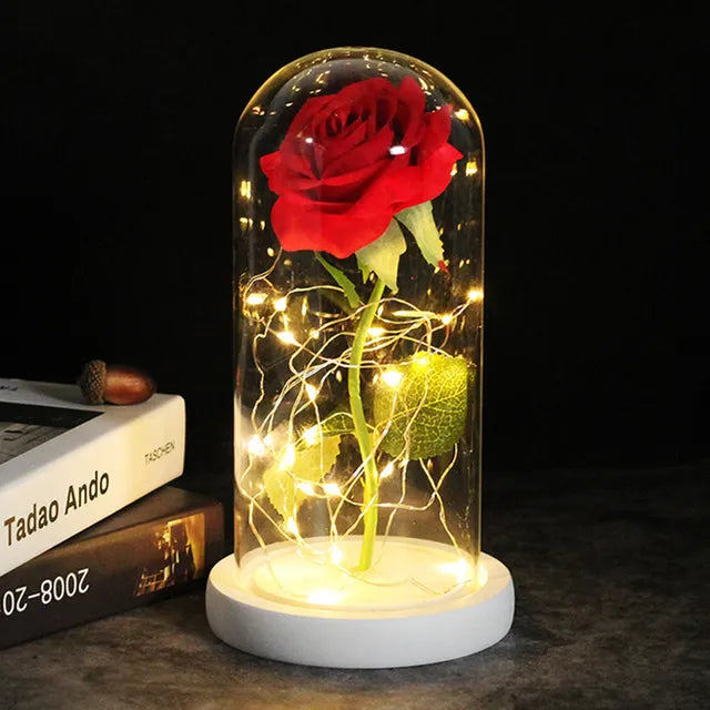 Rose éternelle lumineux sous cloche