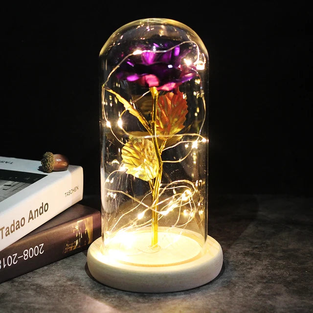 Rose éternelle lumineux sous cloche