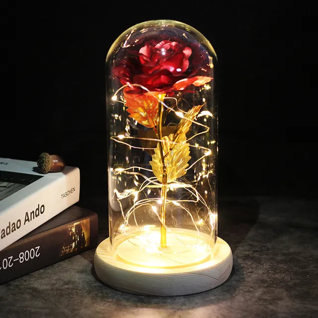Rose éternelle lumineux sous cloche