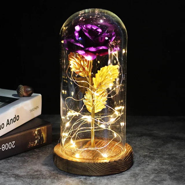 Rose éternelle lumineux sous cloche
