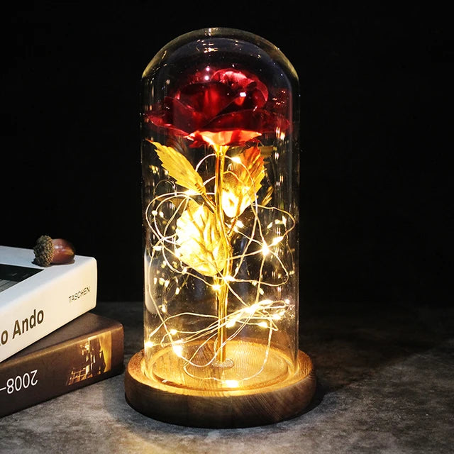 Rose éternelle lumineux sous cloche