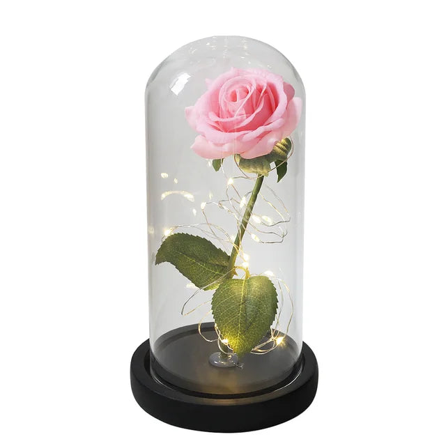 Rose éternelle lumineux sous cloche