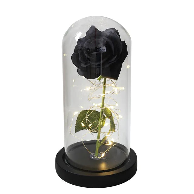 Rose éternelle lumineux sous cloche