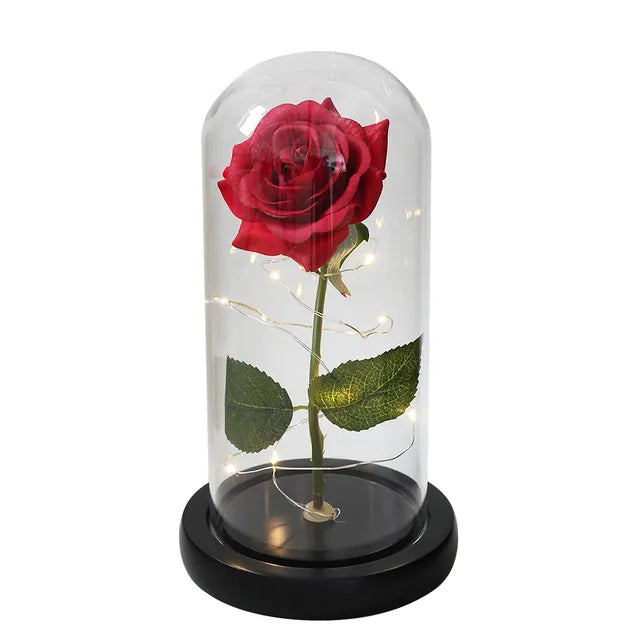 Rose éternelle lumineux sous cloche