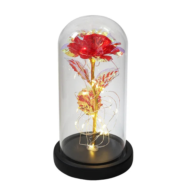 Rose éternelle lumineux sous cloche