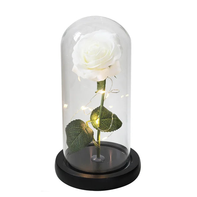 Rose éternelle lumineux sous cloche