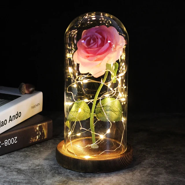 Rose éternelle lumineux sous cloche