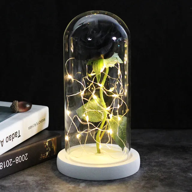 Rose éternelle lumineux sous cloche