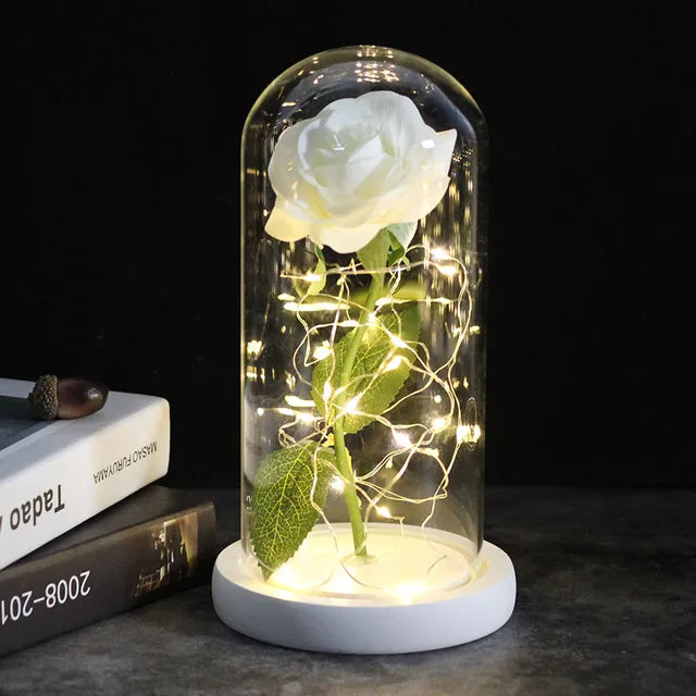 Rose éternelle lumineux sous cloche
