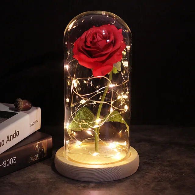 Rose éternelle lumineux sous cloche