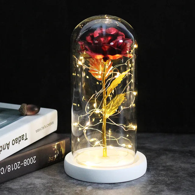 Rose éternelle lumineux sous cloche